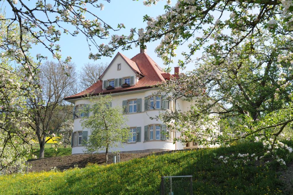 Gasthaus Schwanen & Villa Pfarrhus ชตูลิงเกน ห้อง รูปภาพ